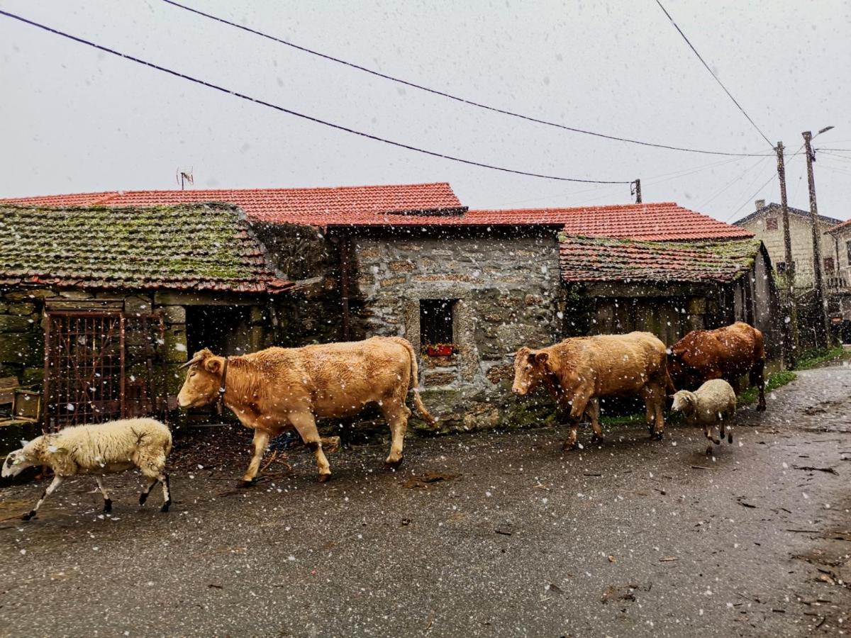 Casa Do Faqueiro De Casas Brioso Villa Outeiro  Eksteriør bilde